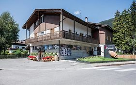 Apartments Drei Zinnen